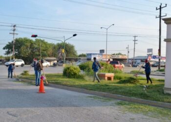 Limpian 900 áreas verdes del municipio de Matamoros