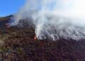 Incendio forestal  arrasa con 4,600 hectáreas al Norte del pais
