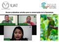 Colabora UAT en estudios para la conservación de la Guacamaya