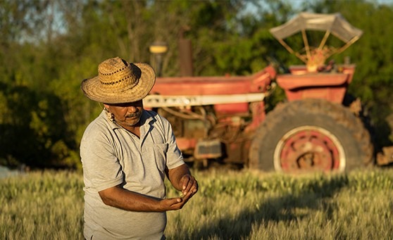 Realizan en Tamaulipas verificación y actualización de datos de beneficiarios del programa Producción para el Bienestar