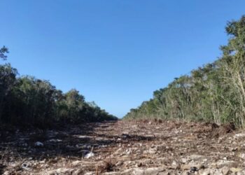 Inician trabajos en Tramo 5 del Tren Maya sin autorización de impacto ambiental