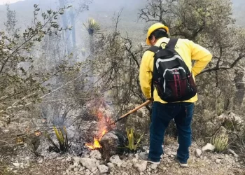 Incendio consumió en 3 días 40 hectáreas en Bustamante