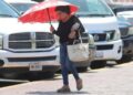 Pronóstico del clima para este viernes en Tamaulipas: temperaturas elevadas y cielos despejados