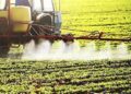 Autoriza gobierno de México siga uso de glifosato en control de malezas en agricultura