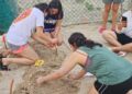 Colabora la UAT en el proyecto de conservación de la tortuga lora