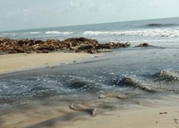 Atienden SEDUMA y Procuraduría Ambiental contaminación de empresa en Altamira