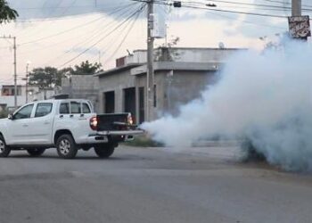 Acciones contra el dengue son oportunas pero no hay que bajar la guardia: SST