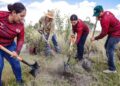 Realiza INJUVE Tamaulipas Segunda Jornada de Reforestación Comunitaria en Valle Hermoso