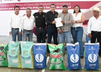 Entregan más de 62 toneladas de semilla en apoyo a productores de Abasolo y Soto la Marina