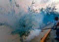 Van más de 6 mil casos de dengue en el país; 56% de ellos en 5 estados