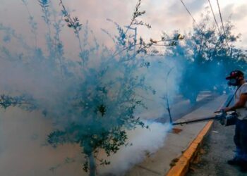 Van más de 6 mil casos de dengue en el país; 56% de ellos en 5 estados