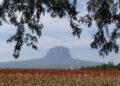 Analiza Tamaulipas estrategias para fortalecer el turismo en comunidades rurales